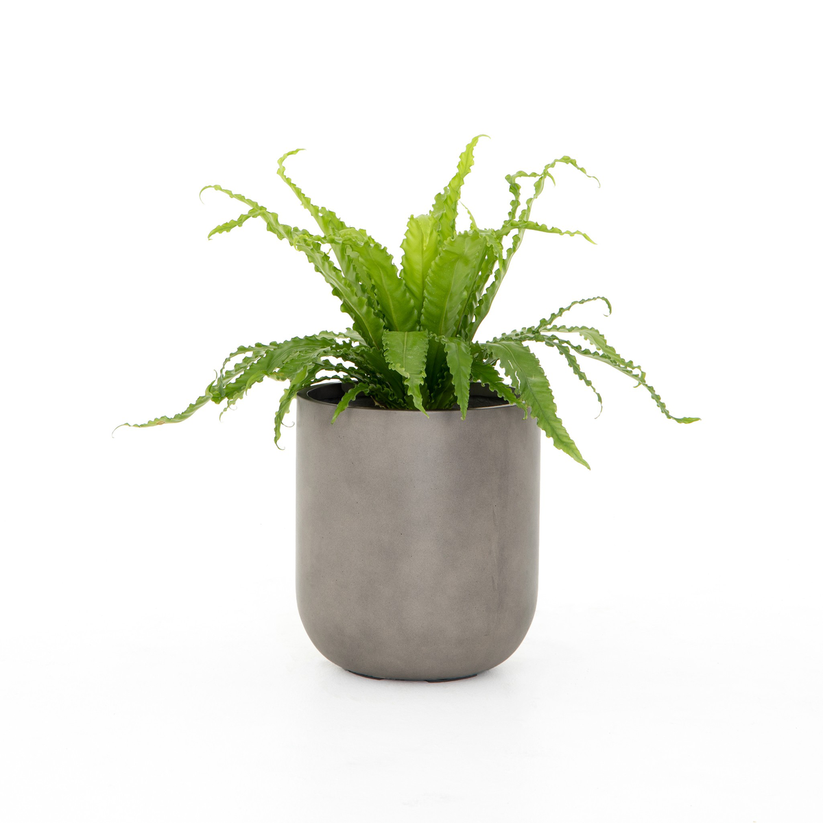 #color_grey-concrete