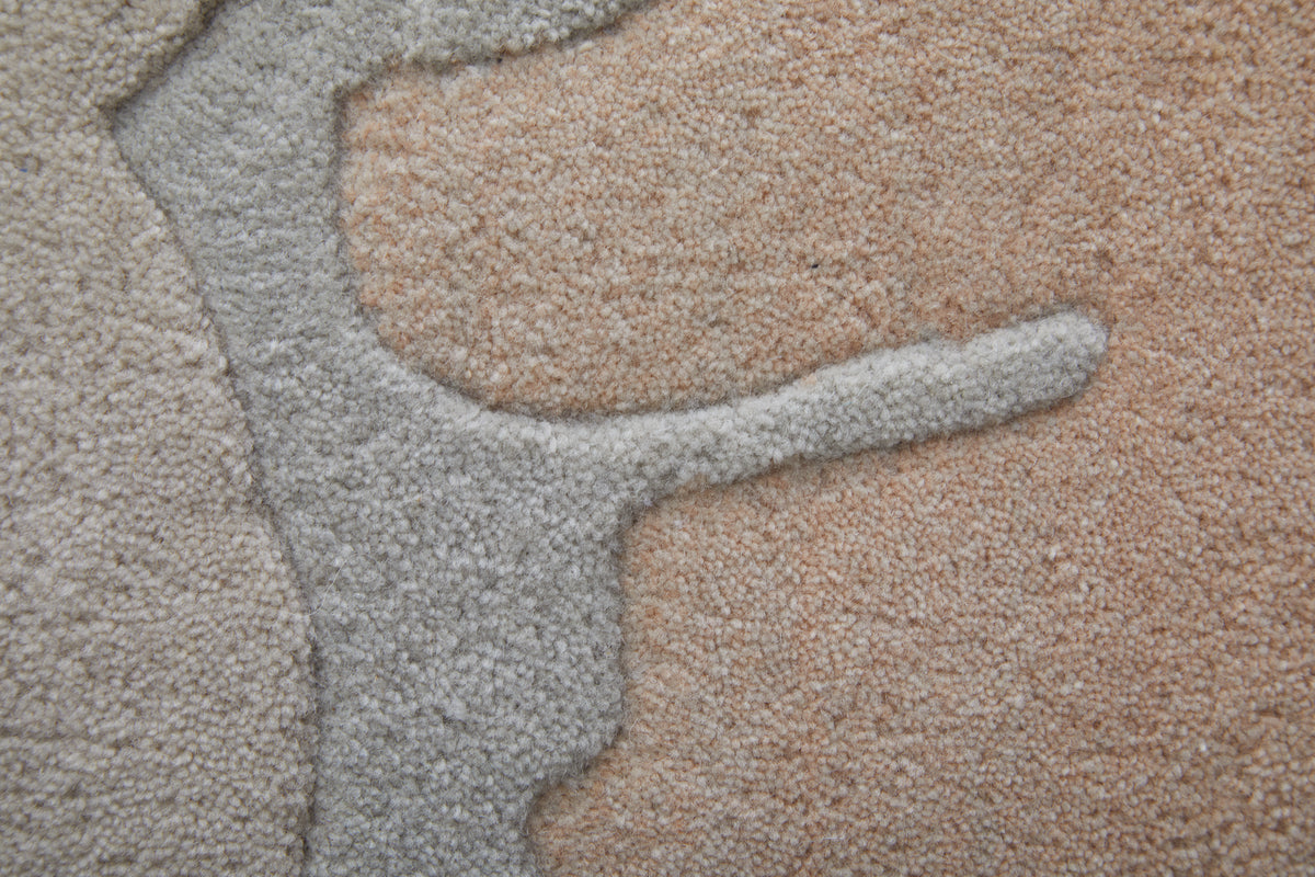 Katya 8989F Beige/Rust Rug by Feizy