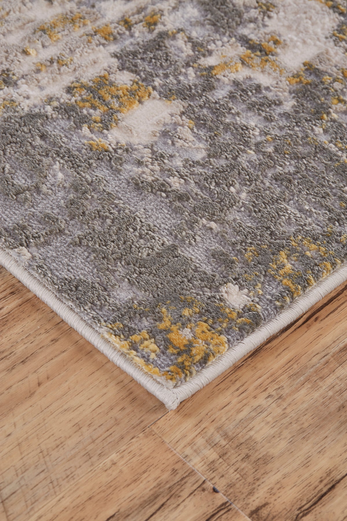 Waldor 3969F Gold/Sterling Rug by Feizy