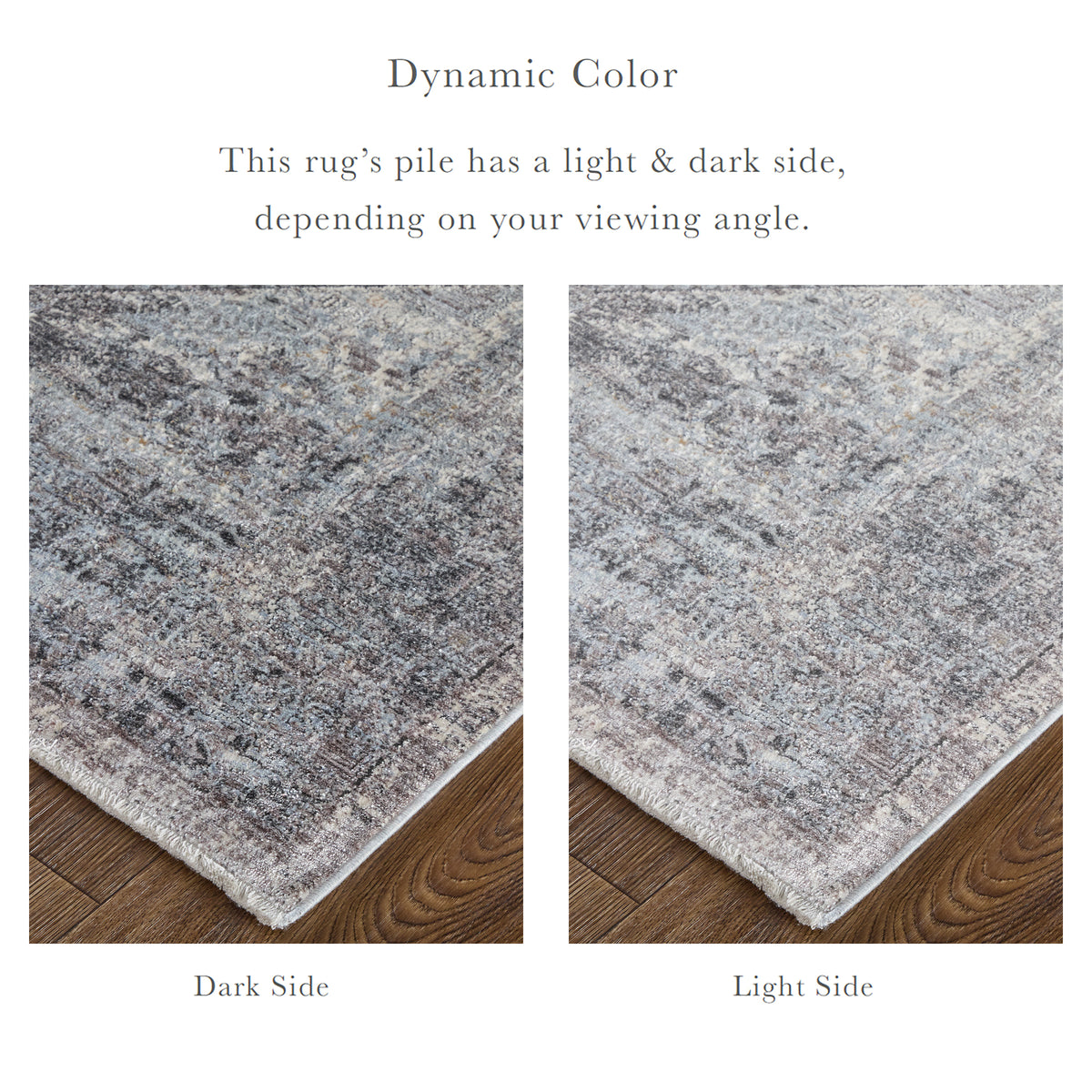 Sarrant 3966F Gray Rug by Feizy