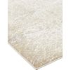 Aura 3739F Ivory/Gold Rug by Feizy