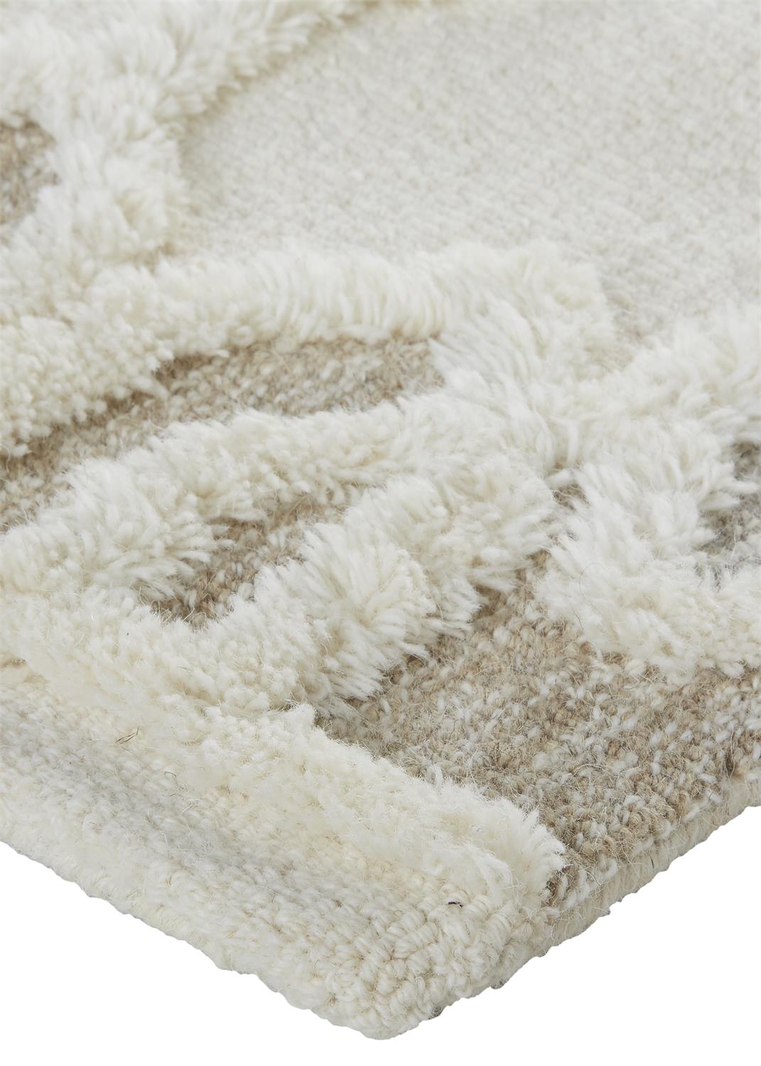 Anica 8011F Ivory Rug by Feizy